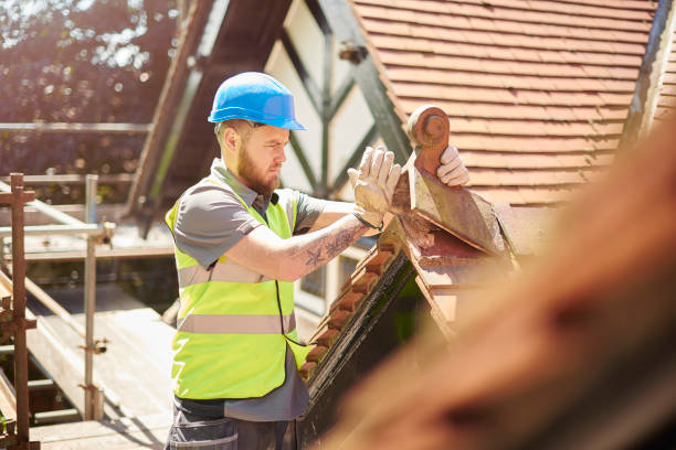 Roof Gutter Cleaning in Chetek, WI